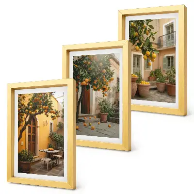 Photo frame wall with a sunny garden and citrus trees print