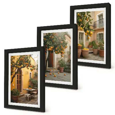 Photo frame wall with a sunny garden and citrus trees print