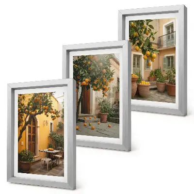 Photo frame wall with a sunny garden and citrus trees print