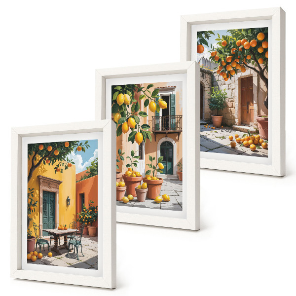 Framed triptych Citrus fruits in a sunny garden setting