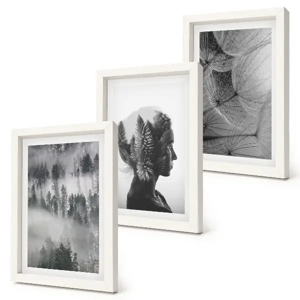 3-piece wall art set forest in the fog with delicate dandelion trees