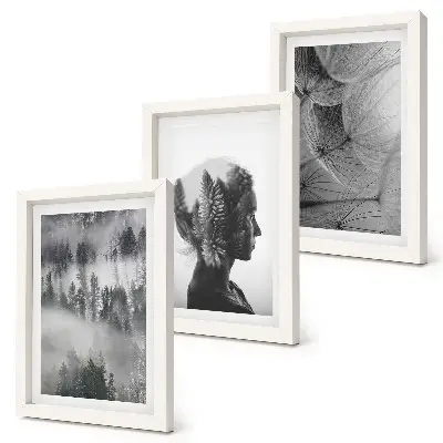 3-piece wall art set forest in the fog with delicate dandelion trees