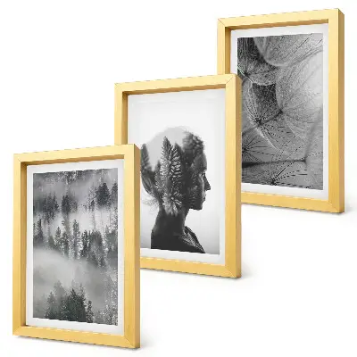 3-piece wall art set forest in the fog with delicate dandelion trees