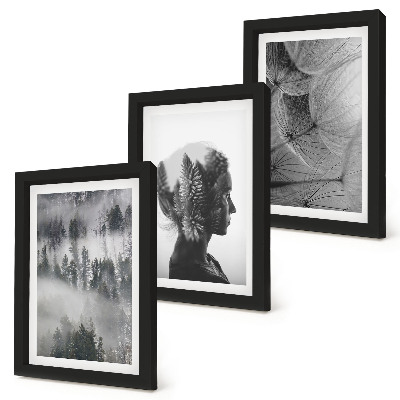 3-piece wall art set Forest in the fog portrait with trees delicate dandelion