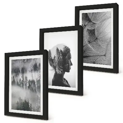 3-piece wall art set forest in the fog with delicate dandelion trees