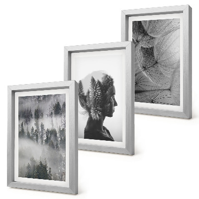 3-piece wall art set Forest in the fog portrait with trees delicate dandelion