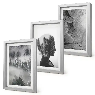 3-piece wall art set forest in the fog with delicate dandelion trees