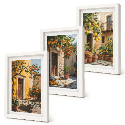 Photo frame wall Citrus fruits in a sunny courtyard with plants