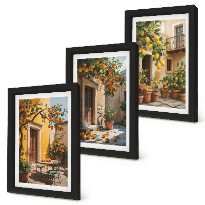 Photo frame wall Citrus fruits in a sunny courtyard with plants