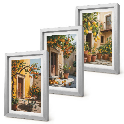 Photo frame wall Citrus fruits in a sunny courtyard with plants