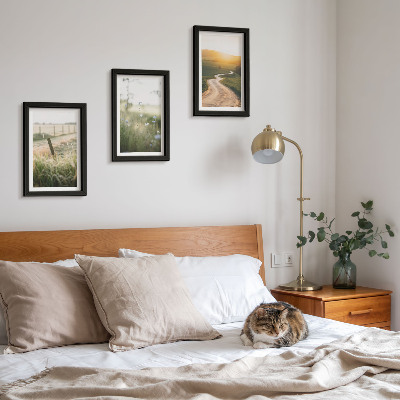 Photo frame wall Landscape with a meadow, road and sunset