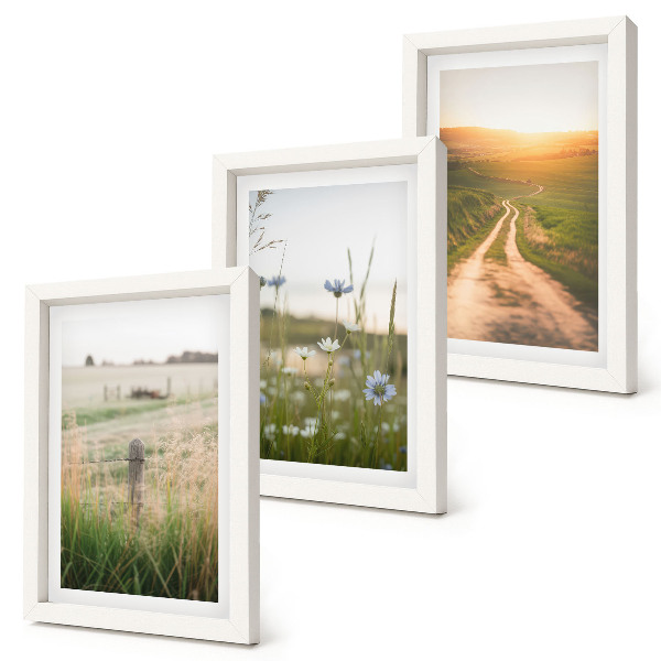 Framed triptych Nature landscapes with fields and a path in the sun