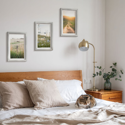 Framed triptych Nature landscapes with fields and a path in the sun