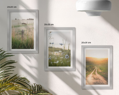 Framed triptych Nature landscapes with fields and a path in the sun