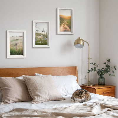 Framed triptych Nature landscapes with fields and a path in the sun