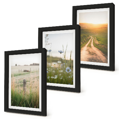Framed triptych Nature landscapes with fields and a path in the sun