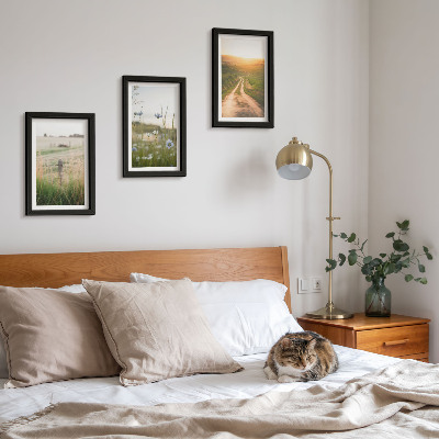Framed triptych Nature landscapes with fields and a path in the sun