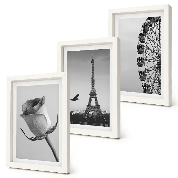 Rose Eiffel Tower and Ferris Wheel in Monochrome framed triptych