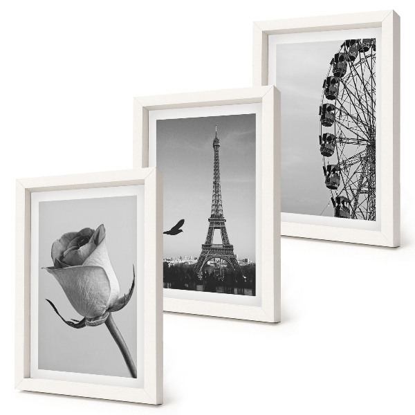 Framed triptych Rose Eiffel Tower and Ferris Wheel in Monochrome