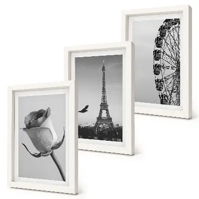 Rose Eiffel Tower and Ferris Wheel in Monochrome framed triptych