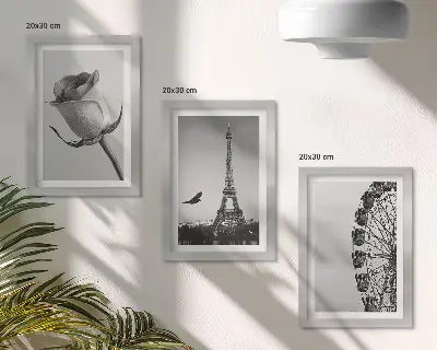 Rose Eiffel Tower and Ferris Wheel in Monochrome framed triptych