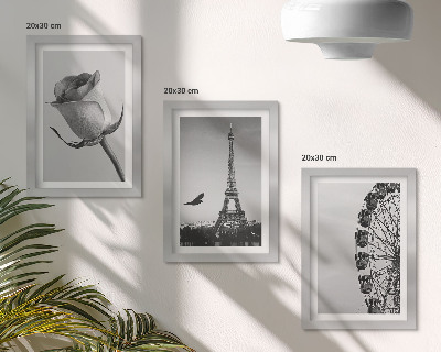Framed triptych Rose Eiffel Tower and Ferris Wheel in Monochrome