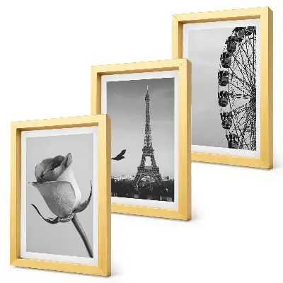 Rose Eiffel Tower and Ferris Wheel in Monochrome framed triptych