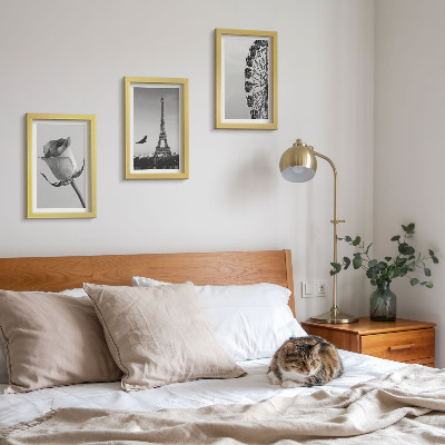 Framed triptych Rose Eiffel Tower and Ferris Wheel in Monochrome