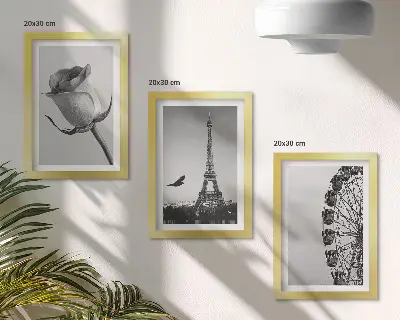 Rose Eiffel Tower and Ferris Wheel in Monochrome framed triptych