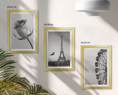 Framed triptych Rose Eiffel Tower and Ferris Wheel in Monochrome