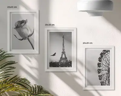 Rose Eiffel Tower and Ferris Wheel in Monochrome framed triptych