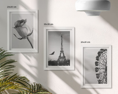 Framed triptych Rose Eiffel Tower and Ferris Wheel in Monochrome