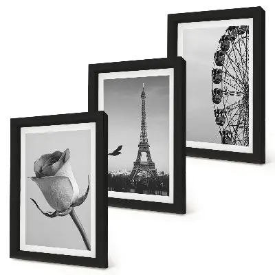 Rose Eiffel Tower and Ferris Wheel in Monochrome framed triptych
