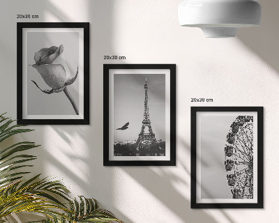 Framed triptych Rose Eiffel Tower and Ferris Wheel in Monochrome