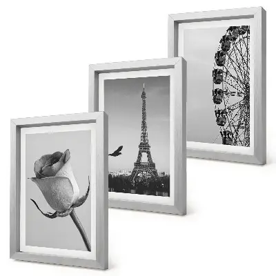 Rose Eiffel Tower and Ferris Wheel in Monochrome framed triptych