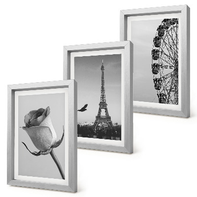 Framed triptych Rose Eiffel Tower and Ferris Wheel in Monochrome