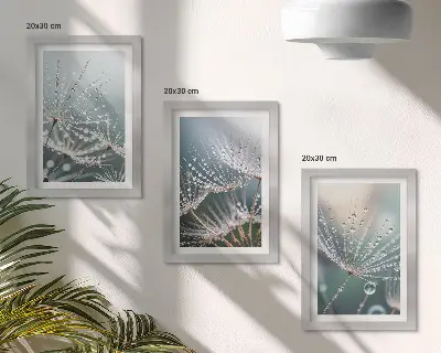 Photo frame wall dandelion shoots with water droplets