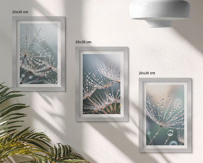 Photo frame wall Drops of water on the delicate shoots of dandelions