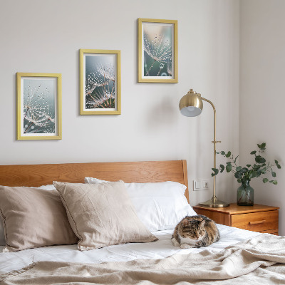 Photo frame wall Drops of water on the delicate shoots of dandelions