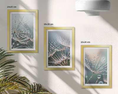 Photo frame wall Drops of water on the delicate shoots of dandelions