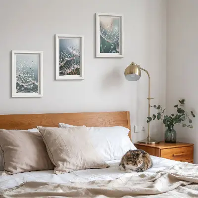 Photo frame wall dandelion shoots with water droplets