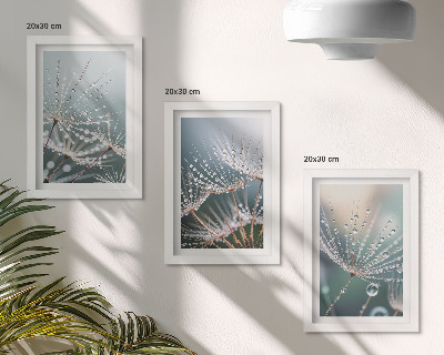 Photo frame wall Drops of water on the delicate shoots of dandelions
