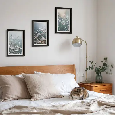 Photo frame wall dandelion shoots with water droplets
