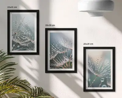 Photo frame wall dandelion shoots with water droplets