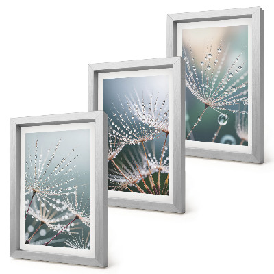 Photo frame wall Drops of water on the delicate shoots of dandelions