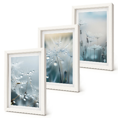 Framed triptych Dewdrops on delicate dandelions