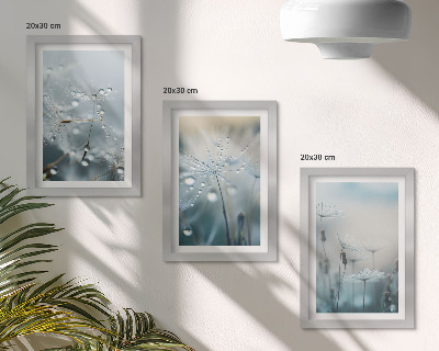 Framed triptych Dewdrops on delicate dandelions
