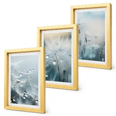 Dewdrops on delicate dandelions framed triptych