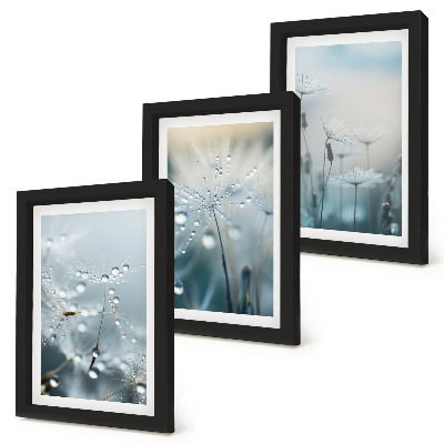 Framed triptych Dewdrops on delicate dandelions
