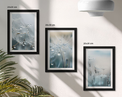 Framed triptych Dewdrops on delicate dandelions